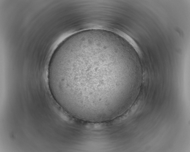 X0000115031051200911091338