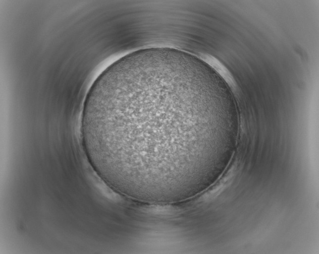 X0000115031052200911091338