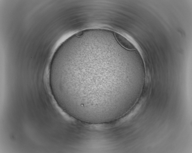 X0000115031053200911091339
