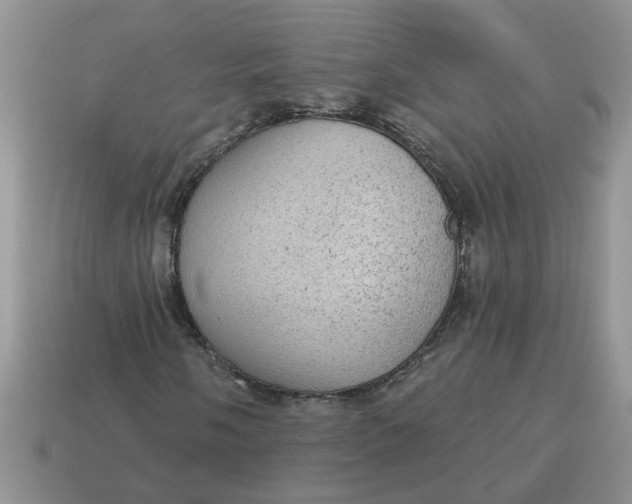 X0000115031058200911091338