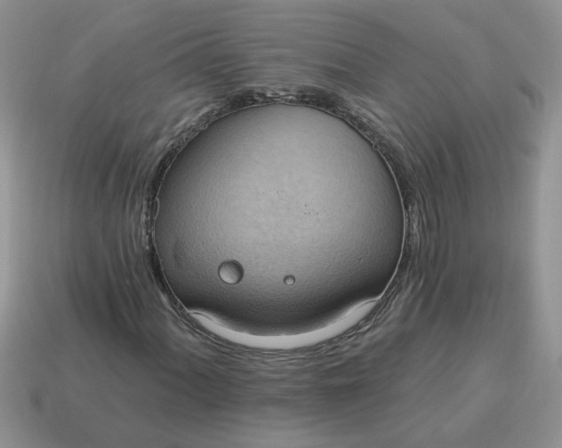 X0000115031060200911091338