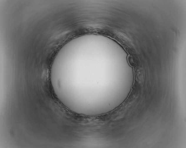 X0000115031061200911091338