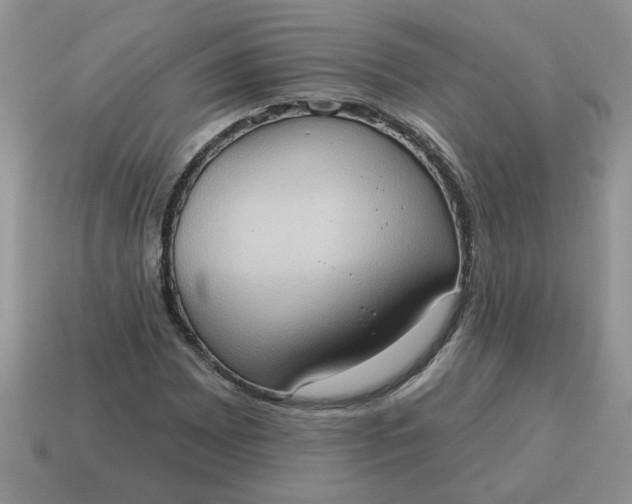 X0000115031065200911091338