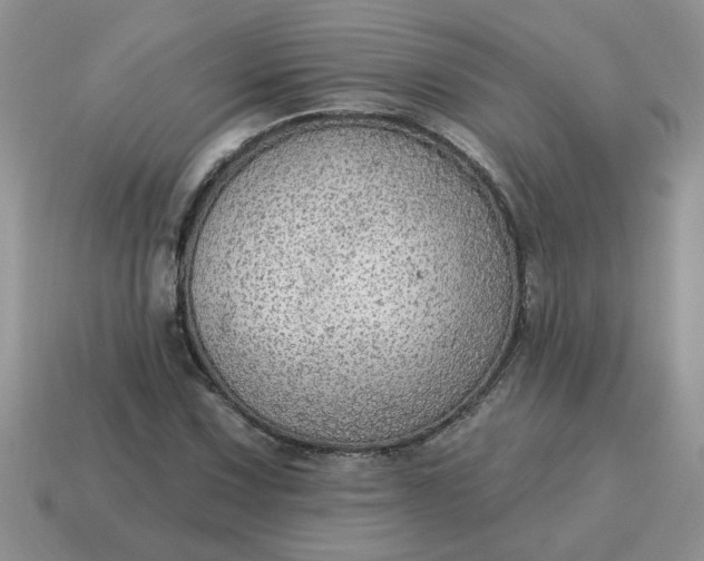 X0000115031067200911091338