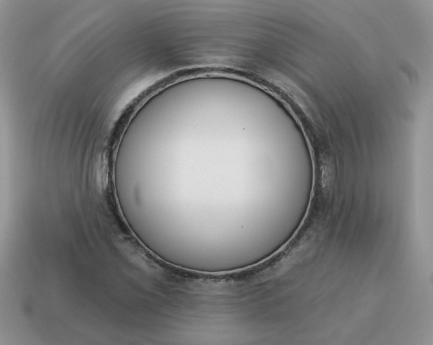 X0000115031069200911091338