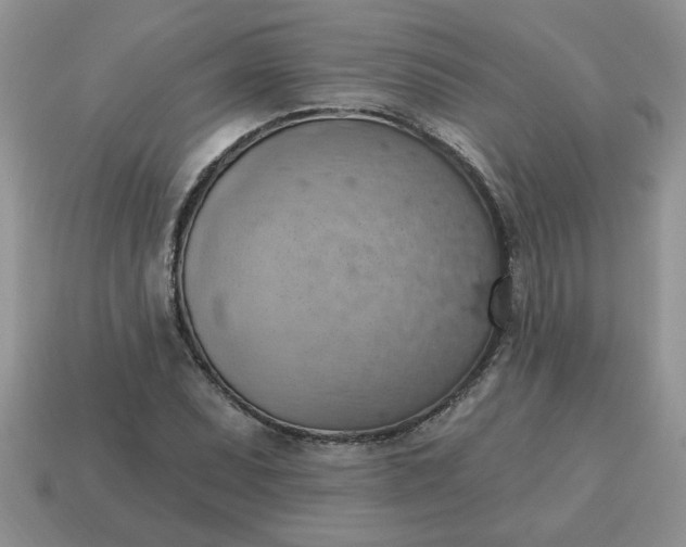 X0000115031071200911091338