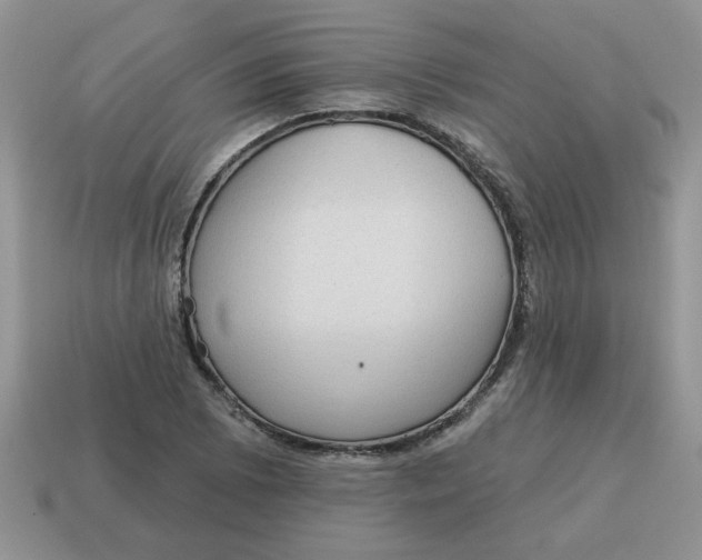 X0000115031073200911091338