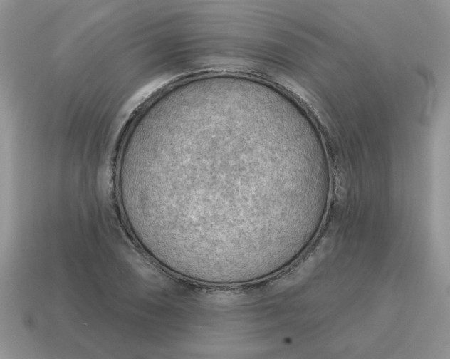 X0000115031074200911091337