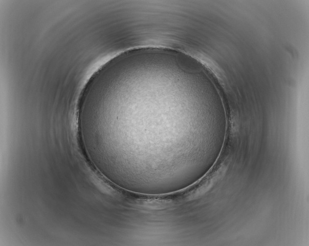 X0000115031077200911091337