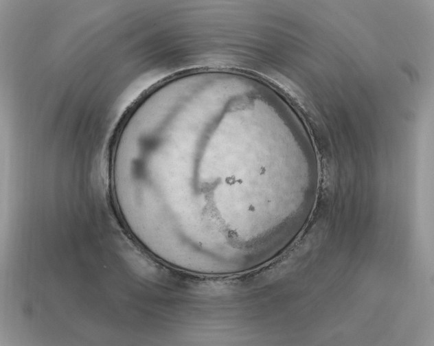 X0000115031078200911091337