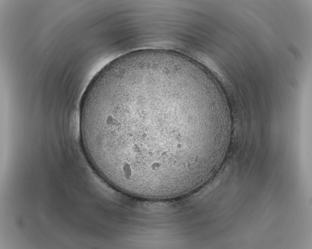 X0000115031079200911091337