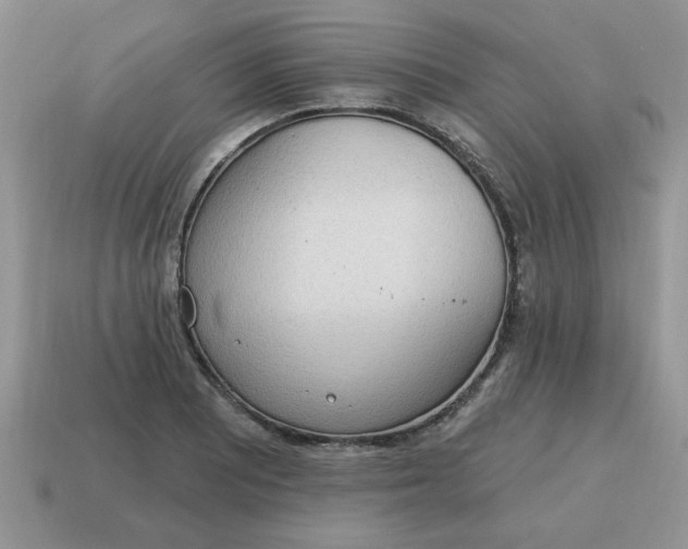 X0000115031081200911091337