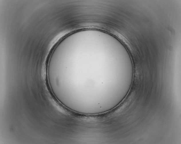 X0000115031082200911091337