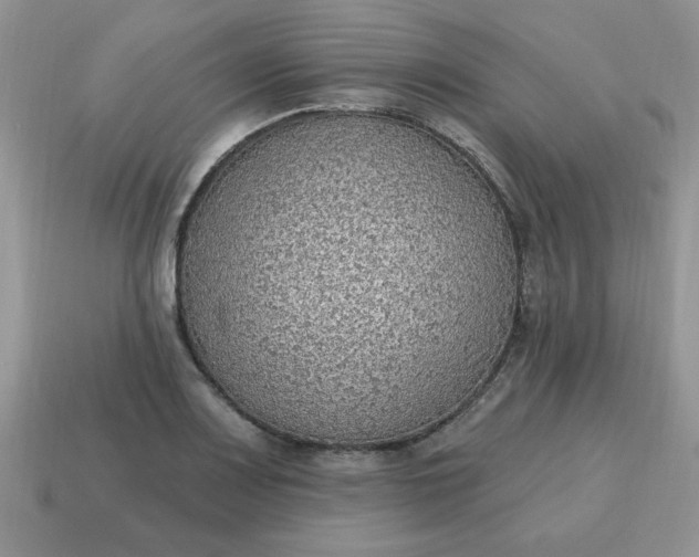 X0000115031083200911091337