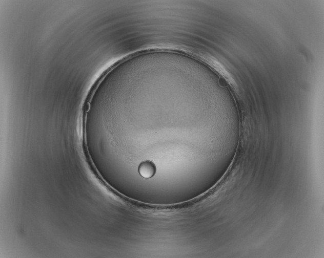X0000115031084200911091337