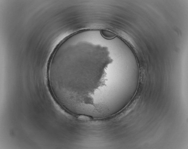 X0000115031087200911091337