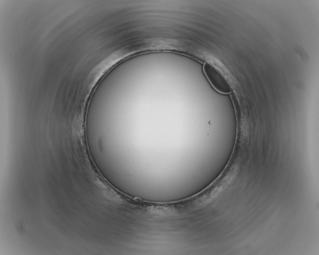 X0000115031089200911091337