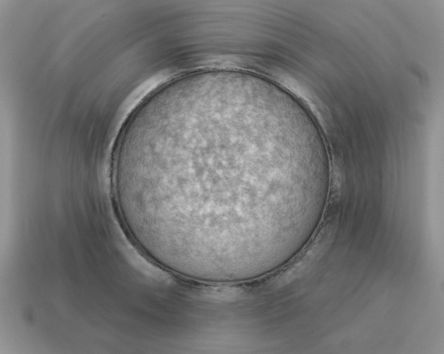 X0000115031090200911091337