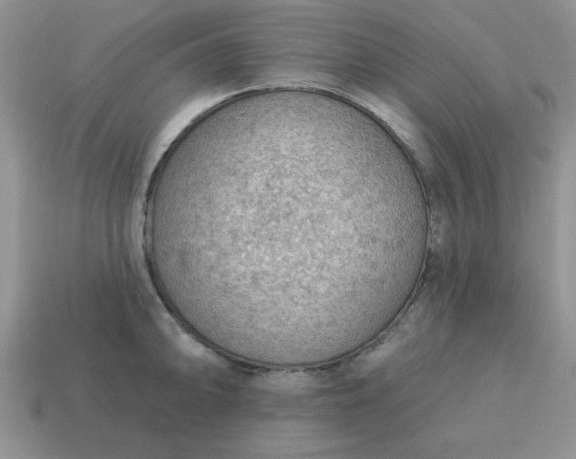 X0000115031094200911091337
