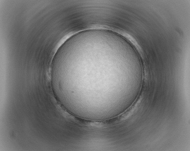 X0000115031097200911091337