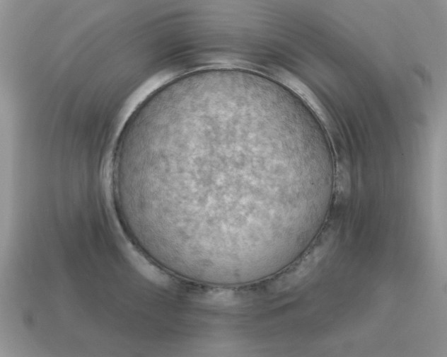 X0000115031098200911091337