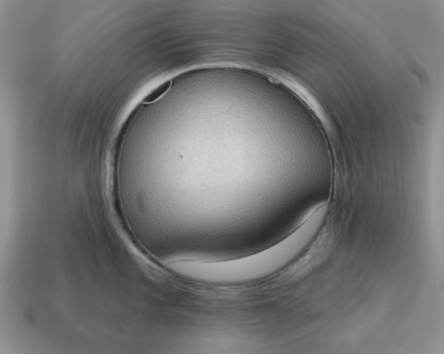 X0000115031101200911091337