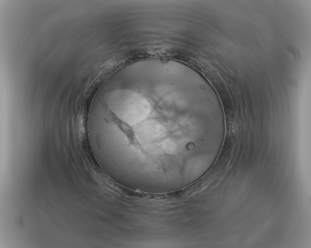 X0000115031106200911091336