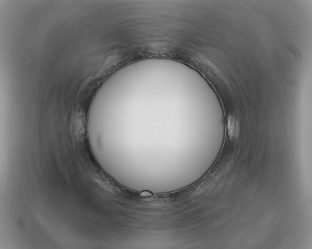 X0000115031107200911091336