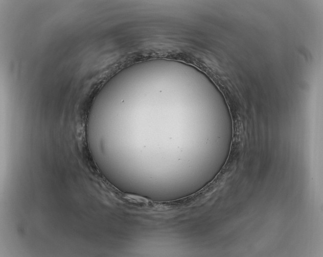 X0000115031109200911091336