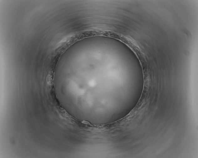X0000115031110200911091336