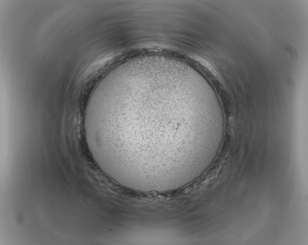 X0000115031111200911091336