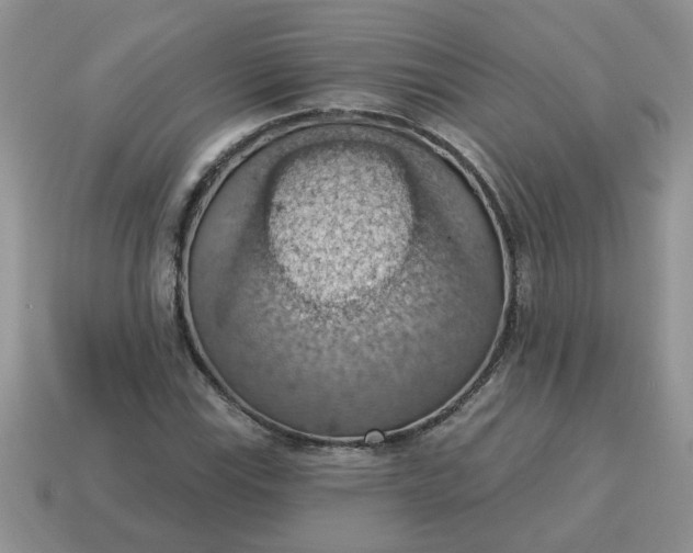 X0000115031115200911091336