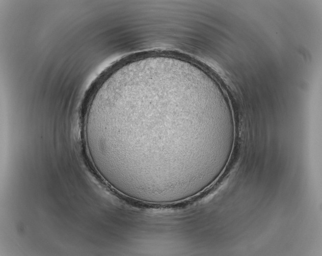 X0000115031118200911091337
