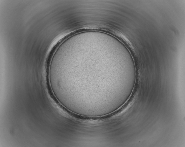X0000115031122200911091337