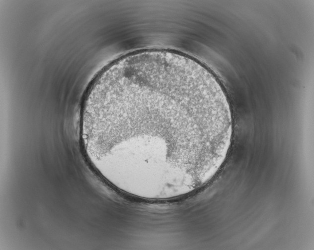 X0000115031126200911091337