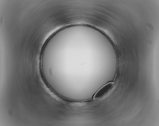 X0000115031134200911091337