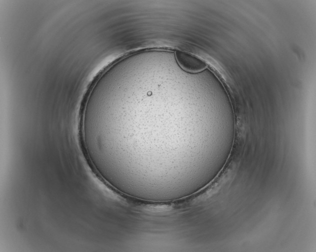X0000115031135200911091337
