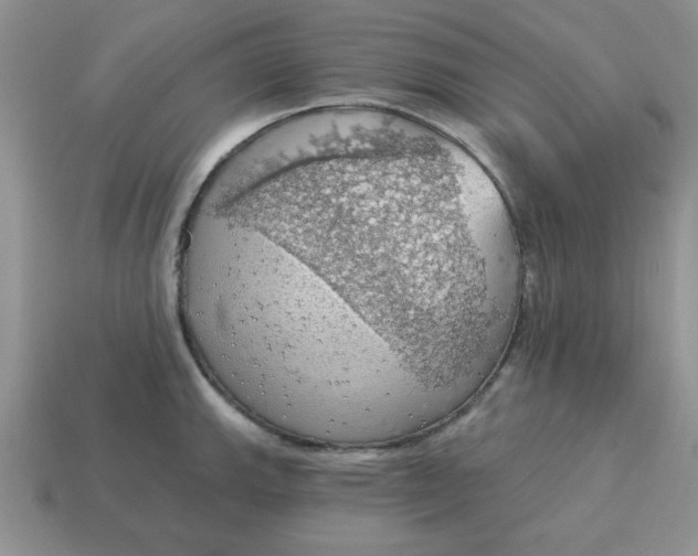 X0000115031143200911091337