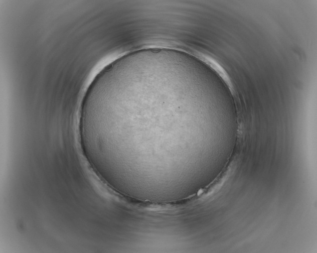 X0000115031146200911091337