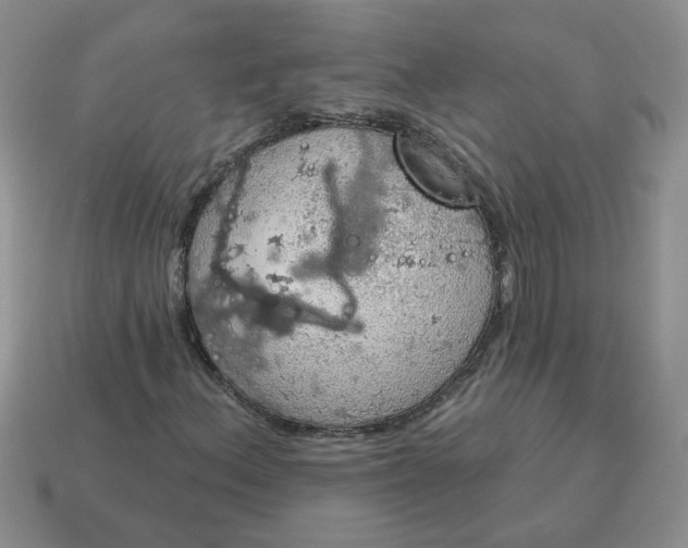 X0000115031156200911091336