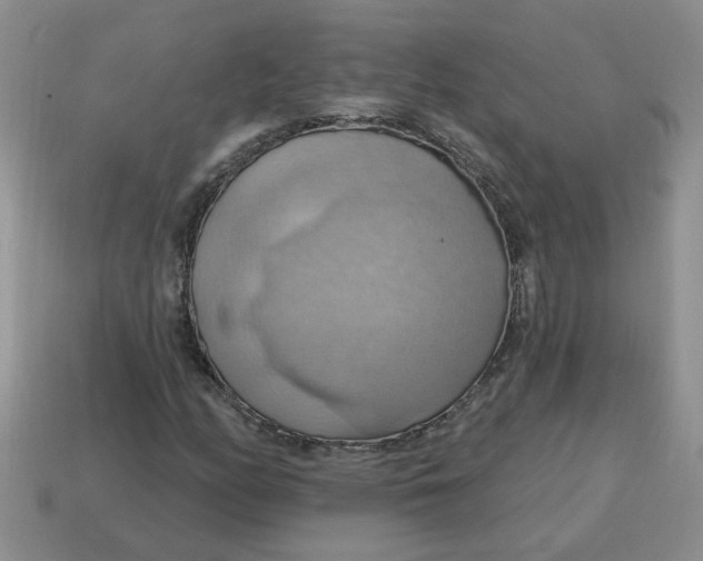 X0000115031158200911091336
