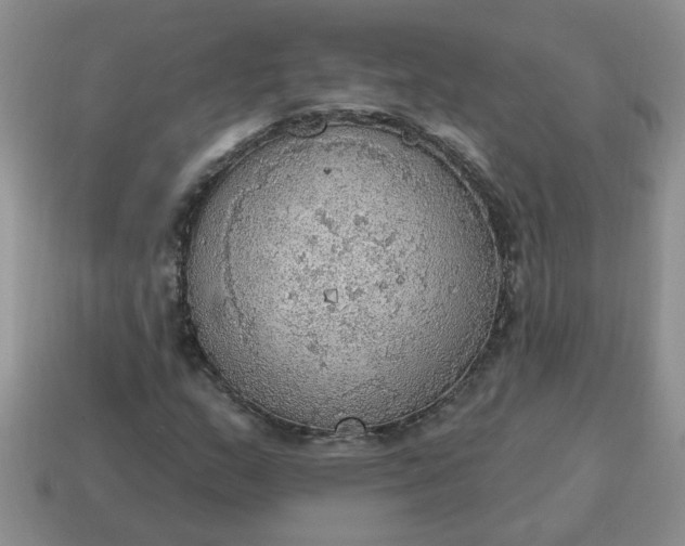 X0000115031159200911091336