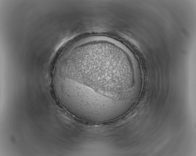 X0000115031160200911091336