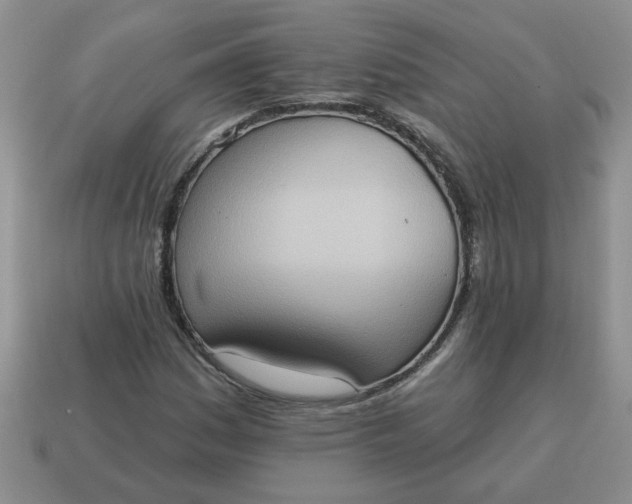 X0000115031161200911091336