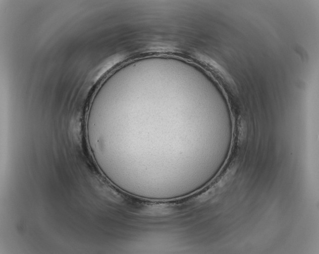 X0000115031162200911091336