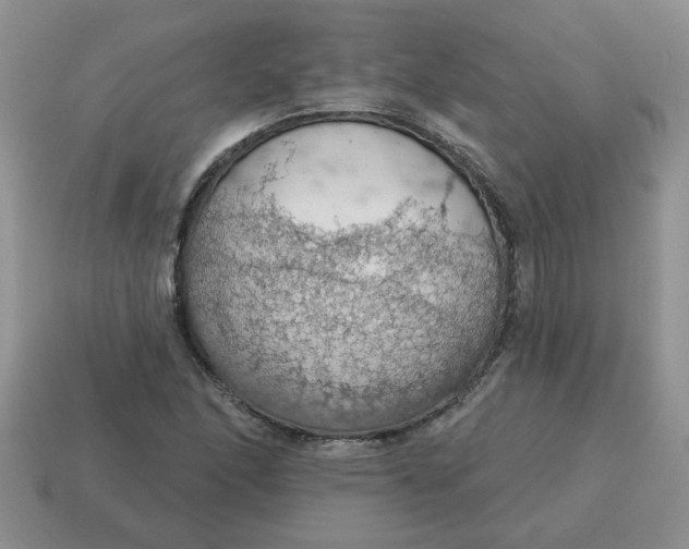 X0000115031166200911091336
