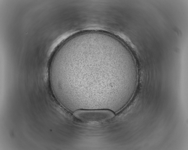 X0000115031167200911091336