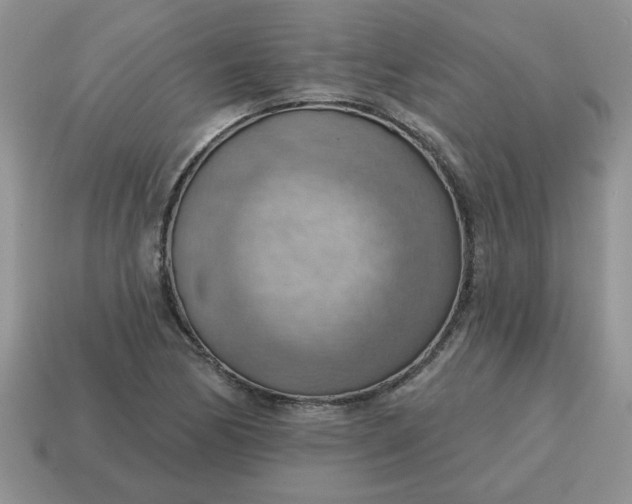 X0000115031170200911091336