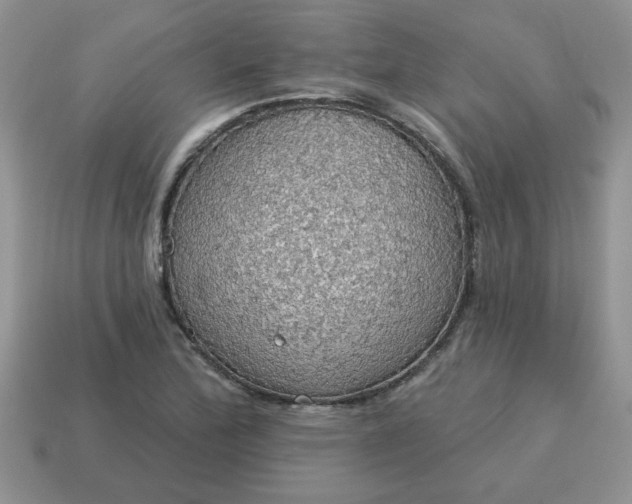 X0000115031172200911091336