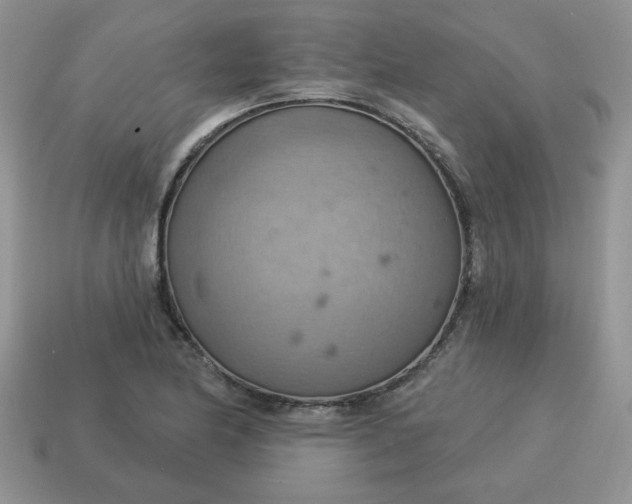 X0000115031174200911091336